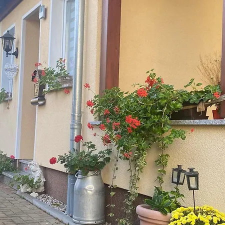 Ferienwohnung „Thea“ Bad Lausick Exterior foto
